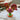 Photo Coq coloré - Décoration de Pâques - Petit cadeau de Pâques Coq coloré - Décoration de Pâques - Petit cadeau de Pâques