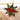 Photo Christmas star, tree decoration, hand painting Petrykivka Christmas star, tree decoration, hand painting Petrykivka