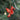 Red Cardinal Bird Ornament – Handmade Wooden Christmas Tree Decoration