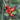 Red Cardinal Bird Ornament – Handmade Wooden Christmas Tree Decoration