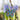 Hand-Painted Wooden Butterfly Christmas & Easter Hanging Ornament