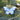 Unique Hand-Painted Butterfly Ornament – Double-Sided Folk Art Hanging